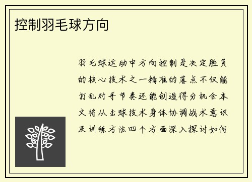 控制羽毛球方向