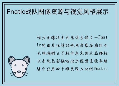 Fnatic战队图像资源与视觉风格展示