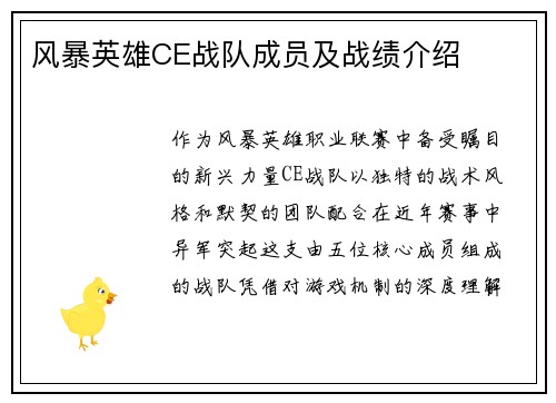 风暴英雄CE战队成员及战绩介绍